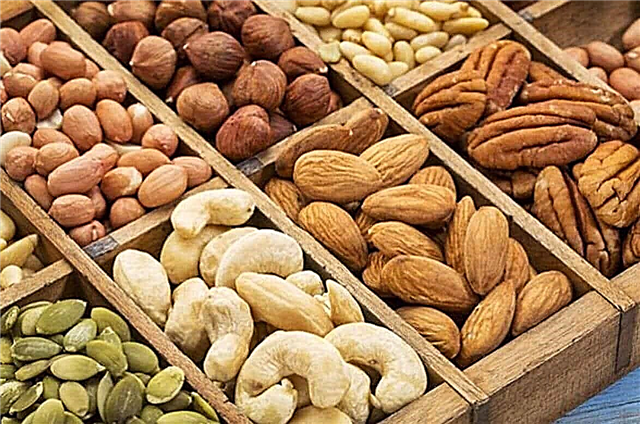 Pähklid ja seemned keto dieedil: mida teha ja mida mitte