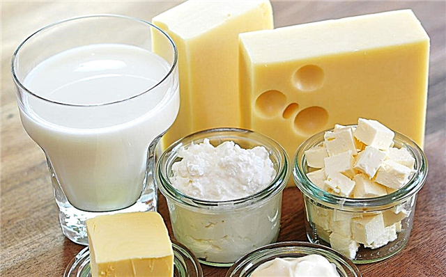 A dieta cetônica e a intolerância à lactose