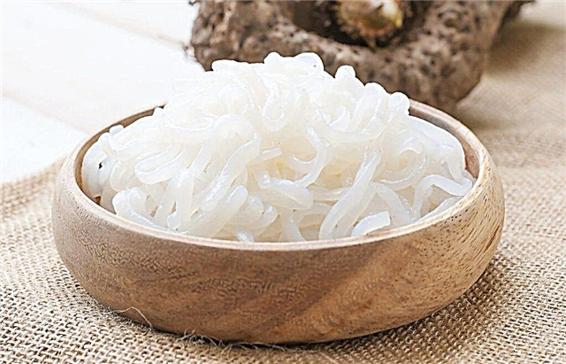 Shirataki noodles: health benefits and recipe
